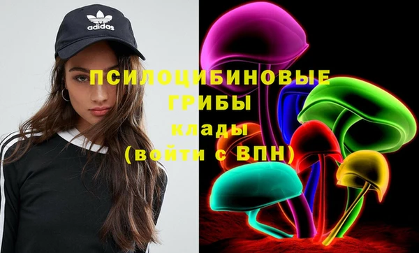 apvp Абинск