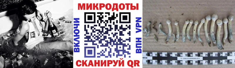 Галлюциногенные грибы прущие грибы ОМГ ОМГ рабочий сайт даркнет телеграм Луга